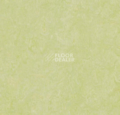 Линолеум Forbo Marmoleum Decibel on Order 388135 green wellness фото 1 | FLOORDEALER